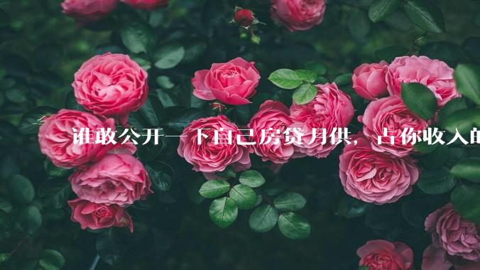 谁敢公开一下自己房贷月供,占你收入的多少?对你生活影响大吗?