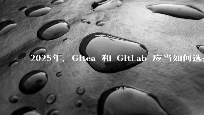 2025年,Gitea 和 GitLab 应当如何选择?