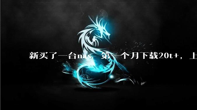 新买了一台nas,第一个月下载20t+,上传5+,不会被网警盯上吧?