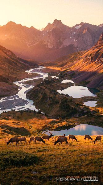 漫改影视新片单·五月版 - 鲁鲁影院